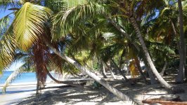 Machioneel Bay Cooper Island Beach