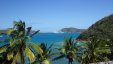 North Sound View Through Palms