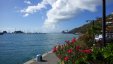 Gustavia Harboour View With Flowers