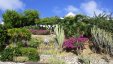 Roadside Garden in Gustavia