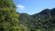 Lush Crater View