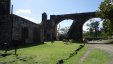 Goats at Estate Ruins