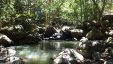 Small Pond at Deshaies River