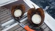 Cutting Coconut