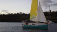 Faimily on Small Sailing Trimaran Coming to Bay