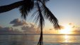 Sunset Under Palm at Marie Galante Beach