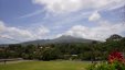 View of Mt Pelee