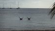 Swimming At Ste Anne Beach