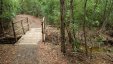 Wooden Bridge Along the Hikig Trail