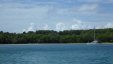 Lonely Cat Anchored at Anse Caritan