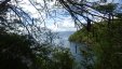 Anse Noire View Behind Tropical Trees