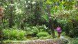 At Diamond Botanical Gardents St Lucia
