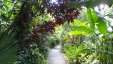 Path Diamond Botanical Gardents St Lucia