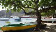 Boats Admiralty Bay Bequia