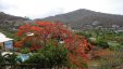 Hills of Friendship Bay Bequia