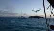 Afternoon at Tobago Cays