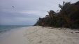 At Tobago Cays Beach