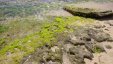 Coral Rocky Beach Chatam Bay