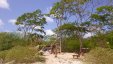 Squaters at Chatham Bay Union Island