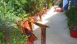Nice Benches