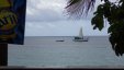 Fishermen Boat at Hillsborough Bay