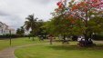 Park at Grand Anse