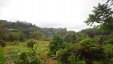 Grenada Countryside View