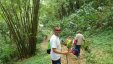 Hiking Tropical Trail