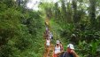 Hiking Tropical Trail