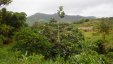 Grenada Mountains View