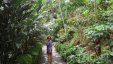 At Tropical Garden Path