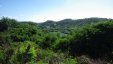 Views of Grenada