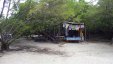 Shack at Hog Island