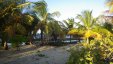 Palms at Sandy Island Grenada