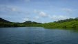 Mangrove Lagoon at Tyrrel Bay
