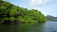 Mangrove Lagoon at Tyrrel Bay