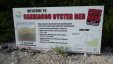 Carriacou Oyster Bed Sign