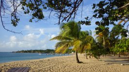 Grenadines Beach