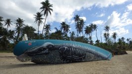 Beached Boat Boqueron