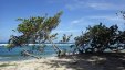 Dominican Republic