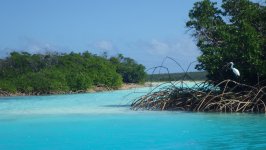 Conception Island Lagoon Bahamas