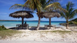 Eluthera Hatchet Bay Palm Parkette Bahamas