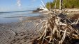 HawksNest Cay Berry Islands