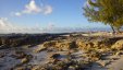 HawksNest Cay Berry Islands