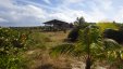 Little Harbour Cay Berry Islands