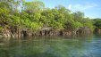 Little Harbour Cay Berry Islands