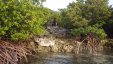 Little Harbour Cay Berry Islands