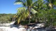 Allans Cays Bahamas