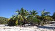 Allans Cays Bahamas