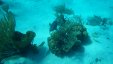 OBrein Cay Exumas